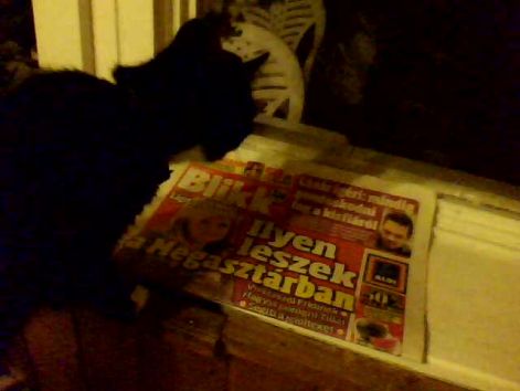 29-07-10_212022.jpg 29-07-10_212022.jpg