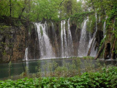 sdc10875.jpg sdc10875.jpg